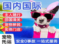 伊春机场空运国际宠物托运 【国